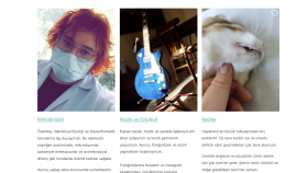 Kendi Wordpress Sitemi Kurdum