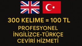 sizin için profesyonel bir şekilde çeviri yapabilirim