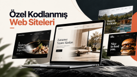 özel kodlanmış modern web siteleri geliştiririm