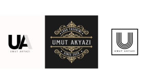 sizin için profesyonel ve kurumsal logo tasarlayabilirim