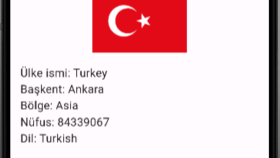 COUNTRİES APPLİCATİON