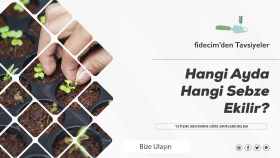 Fidecim Banner