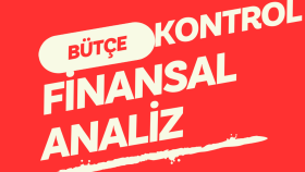 bütçe ve karlılık ile ilgili analiz yapabilirim