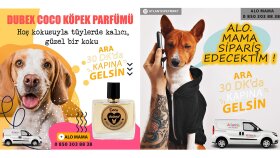  sosyal medya tasarımı