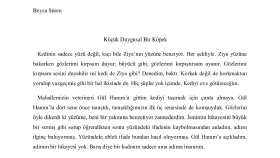 SEO uyumlu ve okuyucu merkezli metinler yazarım