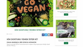 Blog içerik örneği