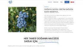 azurberry.com | Tasarım ve Kodlama Eticaret Sitesi