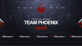 Phoenixx Gaming - E-spor takımları tanıtım sitesi