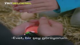 TRT Belgesel Büyük Aile Çiftliği Seslendirmesi