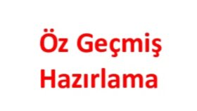 öz geçmişinizi sizin için yazabilirim