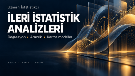 ileri istatistik modellerinizi kurar ve raporlarım