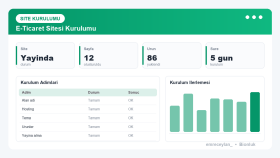 E-Ticaret Sitesi Kurulumu ve Yönetimi