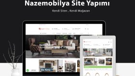 profesyonel şekilde anahtar teslim web sitesi