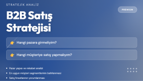 B2B satış stratejisi için pazar analizi yaparım