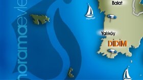Grafik tasarım