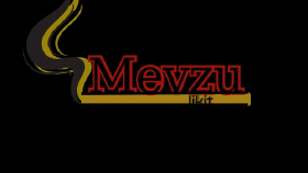 Logo tasarımı yapabilirim 