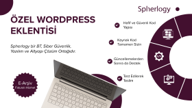 WordPress siteniz için size özel eklenti geliştiririm