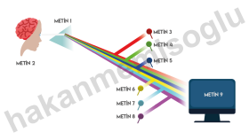 2D Sunum - İnfografik Tasarım