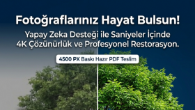 profesyonel restorasyon hizmeti veririm