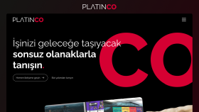 UI/UX Tasarım - Web Agency
