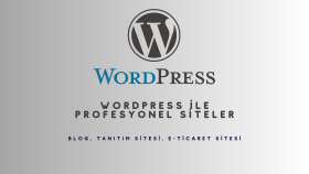sizin için profesyonel websitesi yaparım