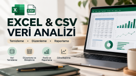  Excel ve CSV verilerinizi temizler ve analiz ederim
