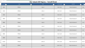 ERP İçin SQL Stok ve Satış Raporlama Projesi