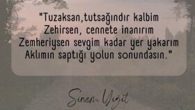 uzman olduğum bu konuda metinler yazarım