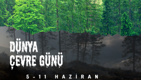 Afiş Tasarımı 
