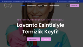 Temizlik Firması Wordpress Web Sitesi