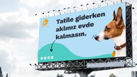 Petdaiz markası için hazırlamış olduğum billboard tasarımı