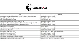 Web tasarımcılar için fırsat! Hatalı siteleri bulabilirim