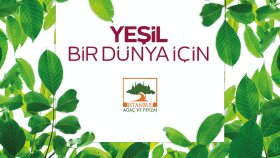 Ağaç AŞ Katalog