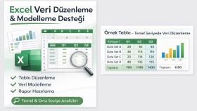 Excel tabanlı veri modelleme ve rapor desteği sunarım