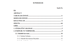 Akademik belge düzenleme 