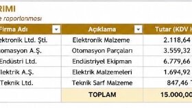 PDF'den Excel'e Veri Aktarımı