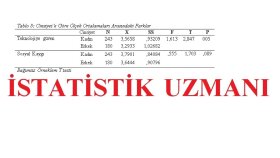 SPSS ile verilerinizi analiz eder apa formatlı rapor sunarım