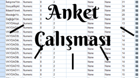 Psikoloji Alanında Anket Çalışması