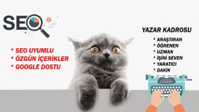 300 kelimelik 2 adet seo uyumlu makale yazabilirim