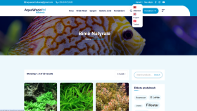 Awal B. - Çok Dilli Global WordPress Sitesi