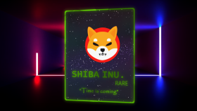 Shiba INU [SPECIAL FULL SCREEN]