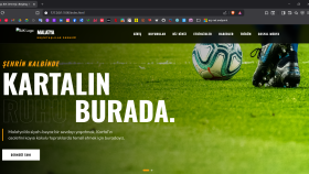 profesyonel front-end web tasarımı yaparım