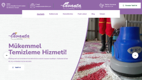 Özelleştirilmiş Web Sitesi 
