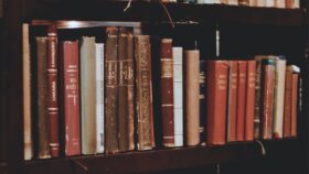 kitap, roman ve makale analizi yapabilirim