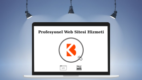 sizler için profesyonel web sitesi yapıyorum