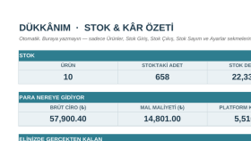 işletmeniz için stok, satış ve net kâr programı tasarlarım
