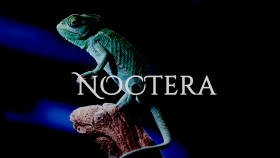 Noctera - Zarif Kahve Markası