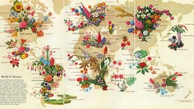 blog  dergi ve haber çeviririm