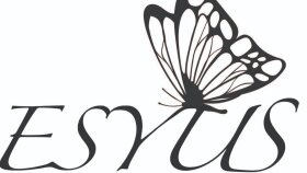 konsept logo tasarımı