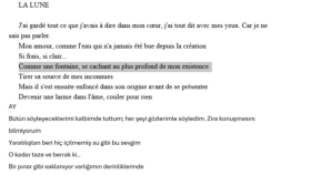 Şiirin Dil Ötesi Yolculuğu